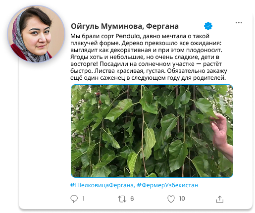 Image title