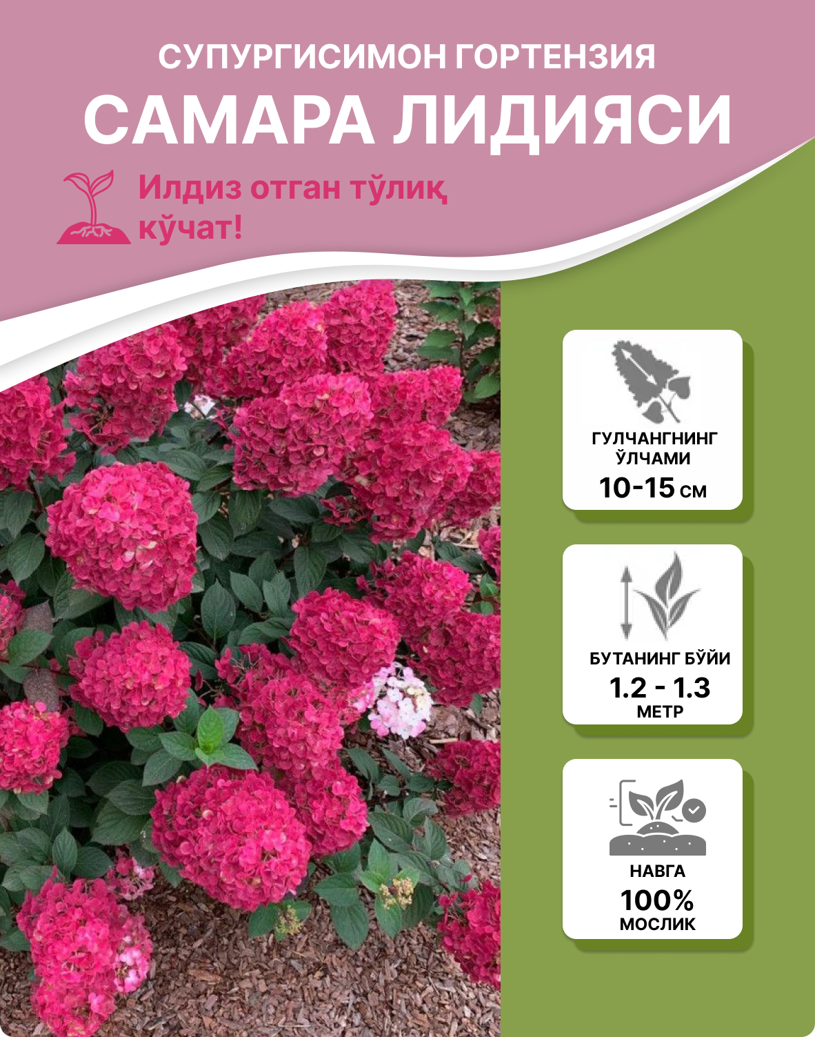 Заголовок