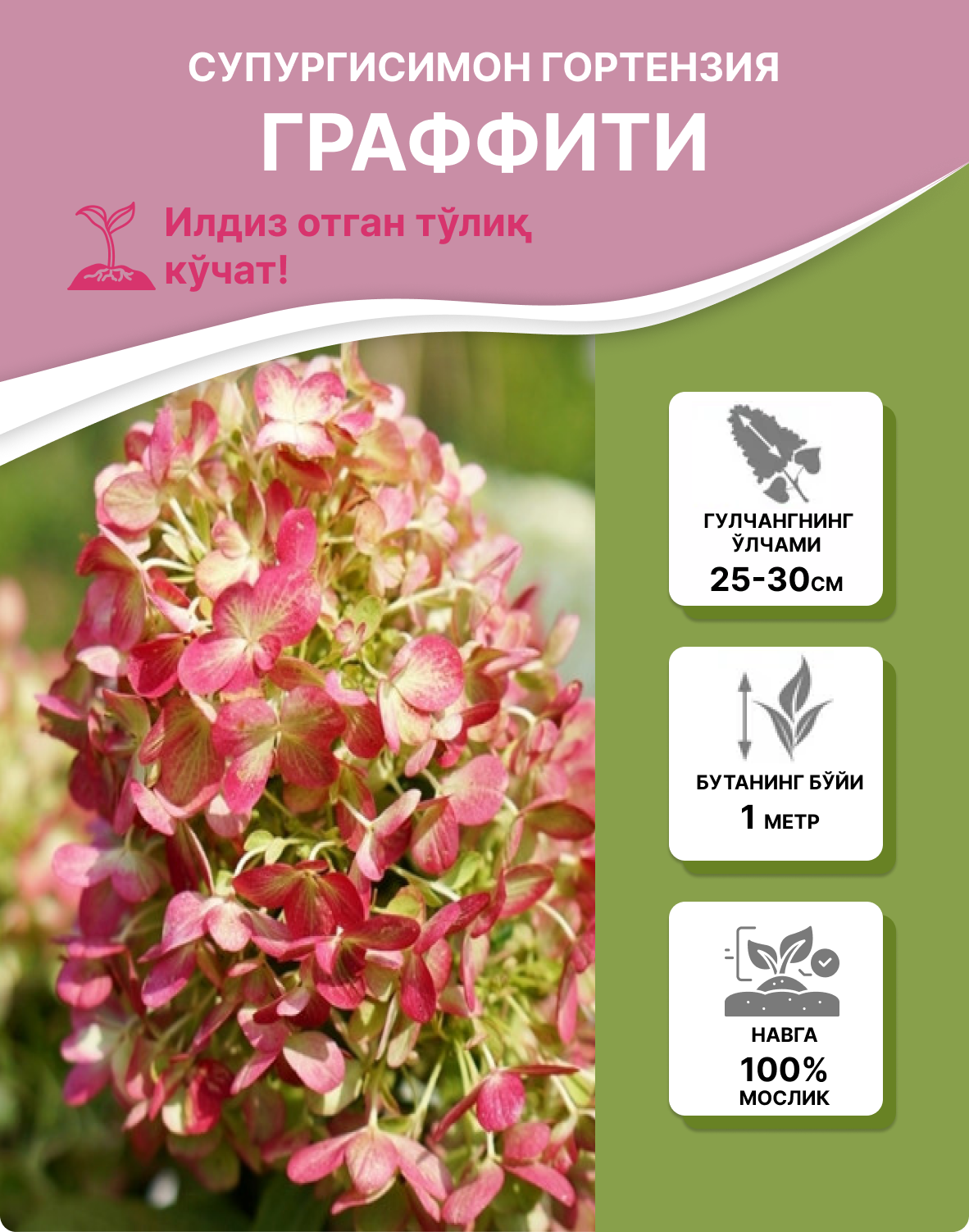 Заголовок