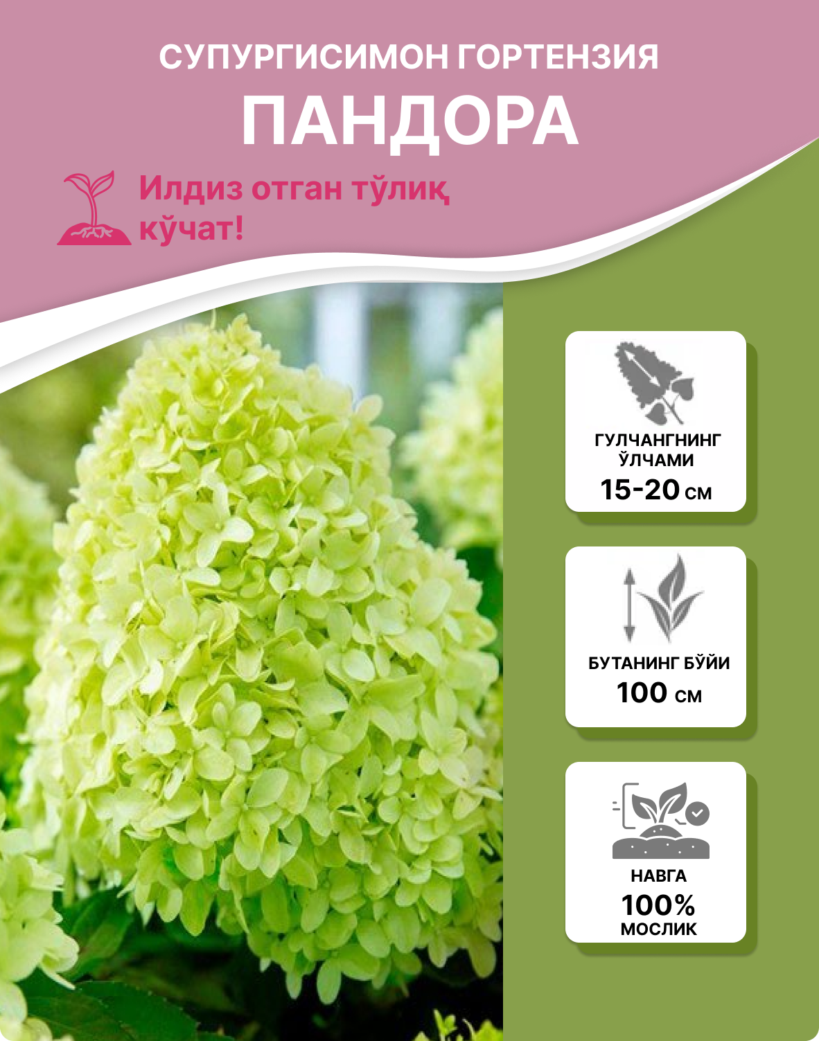 Заголовок