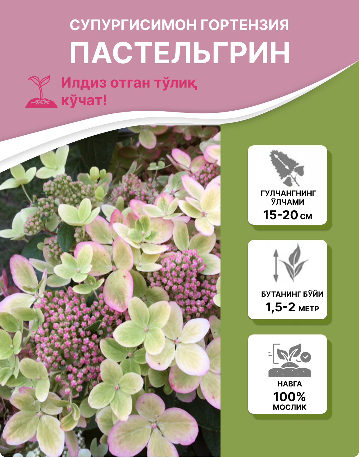 Заголовок
