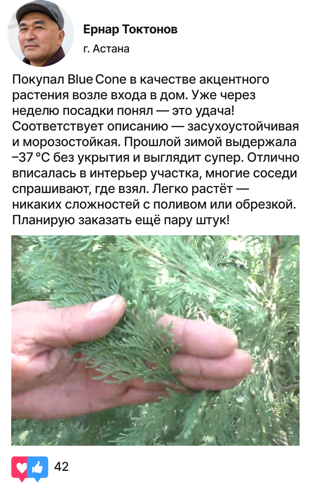 Заголовок