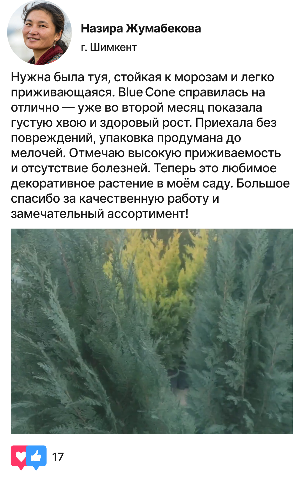 Заголовок