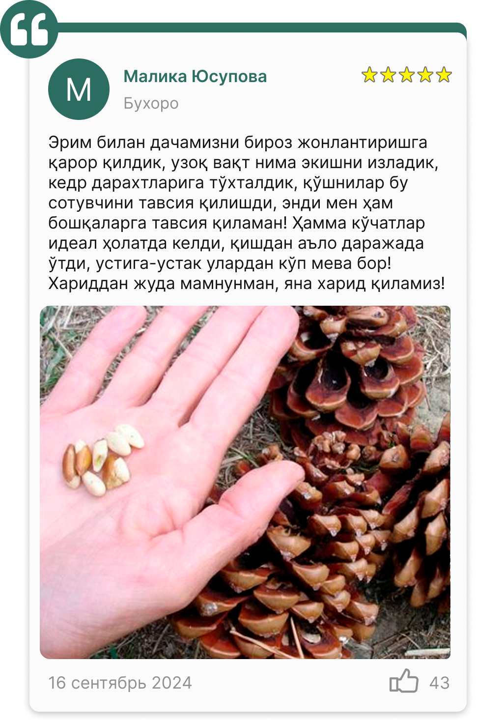 Заголовок