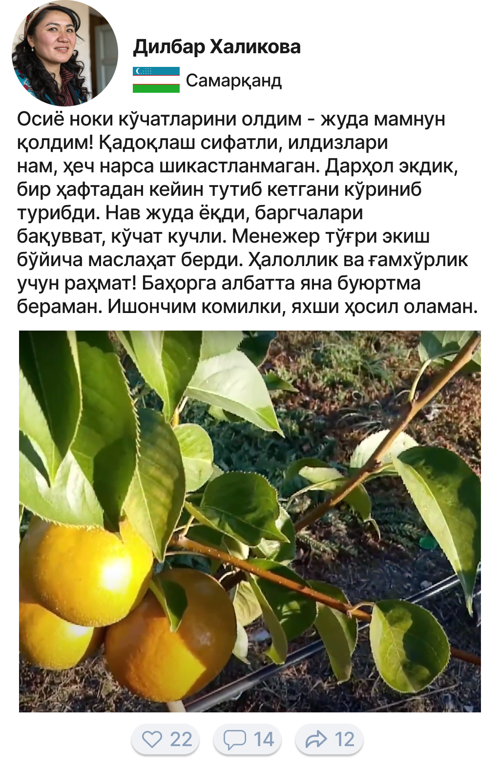 Image title