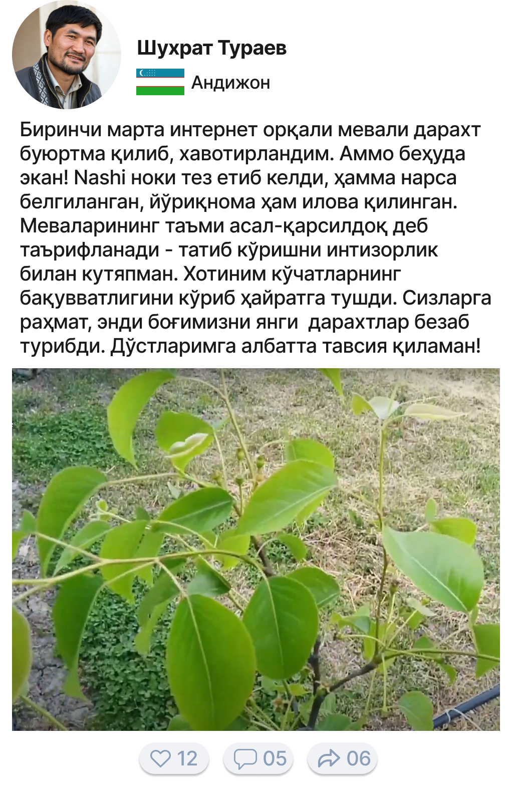 Image title