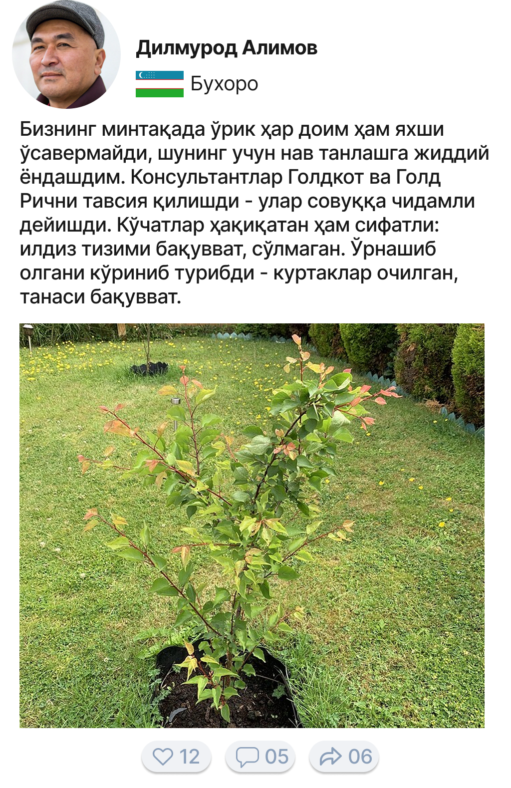 Image title