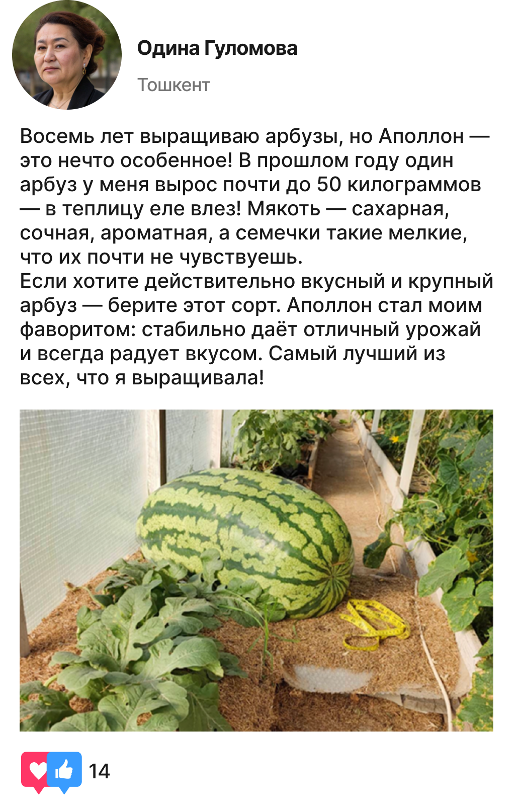 Заголовок