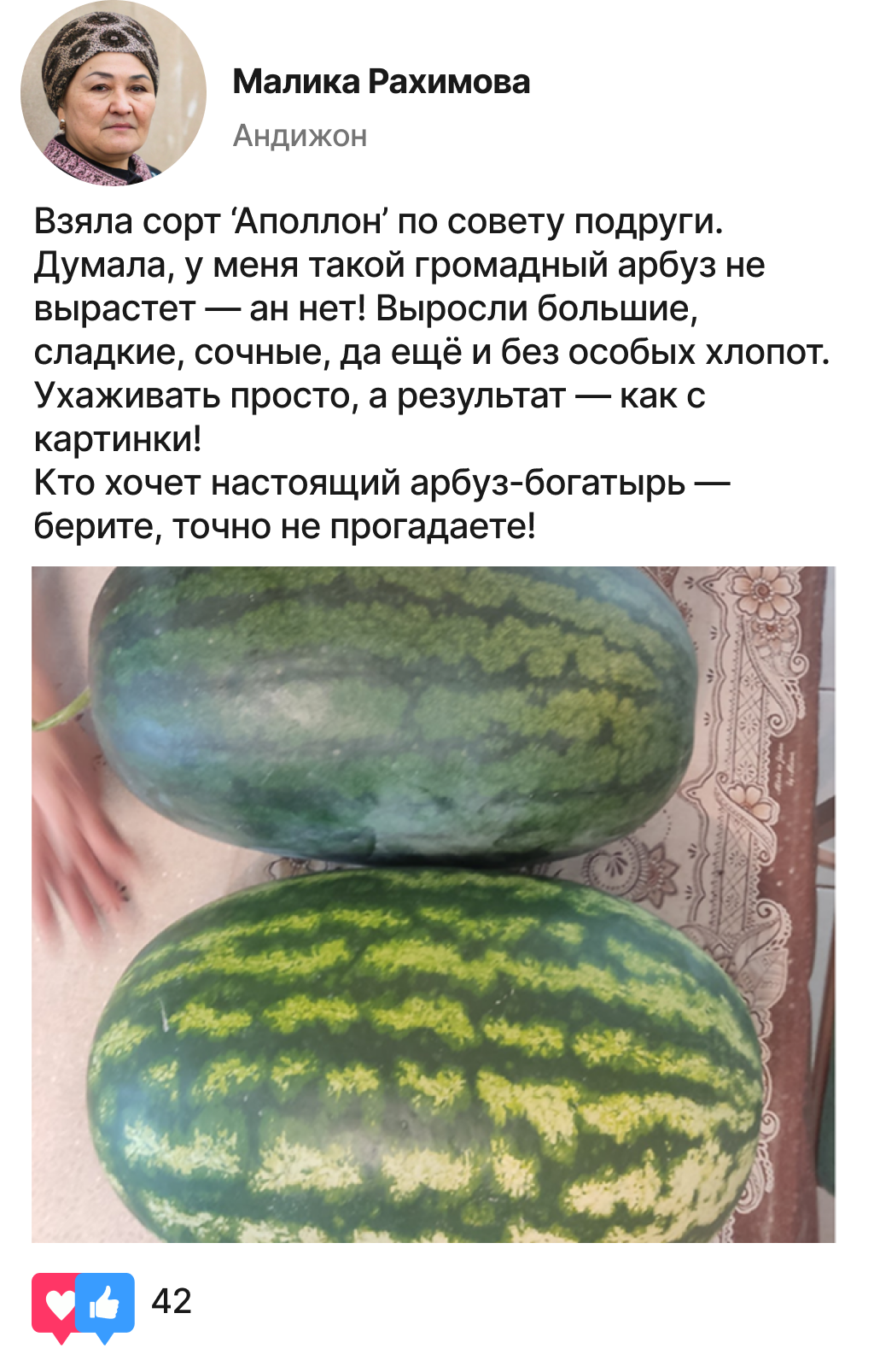 Заголовок