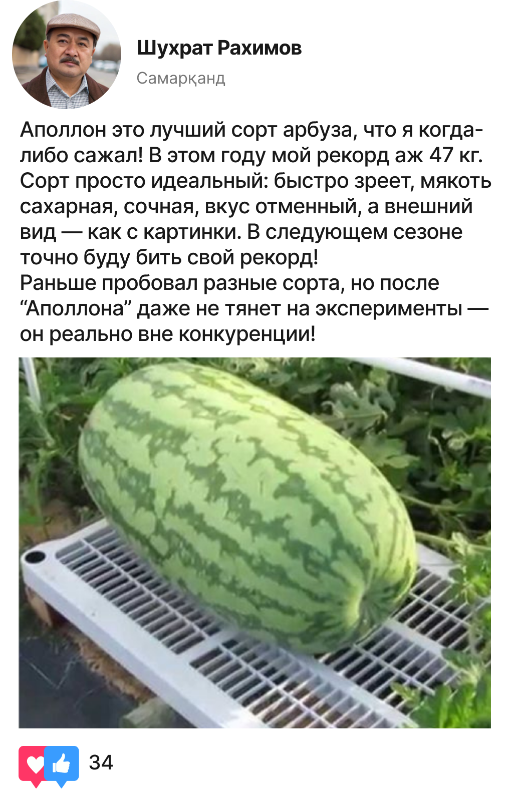 Заголовок