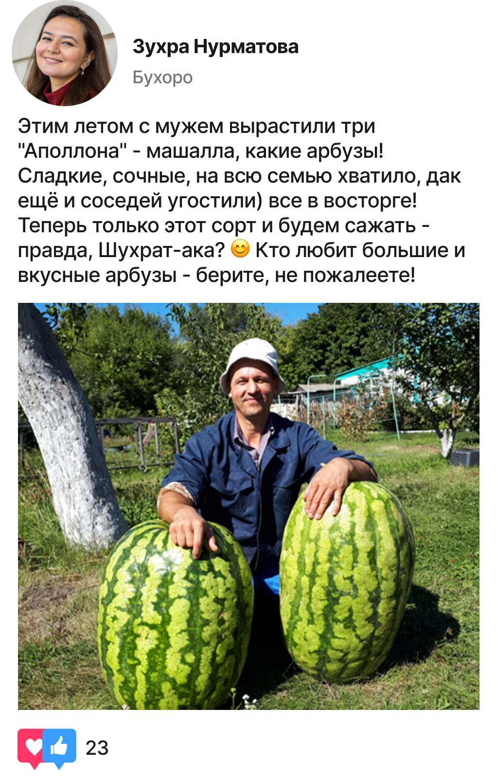 Заголовок