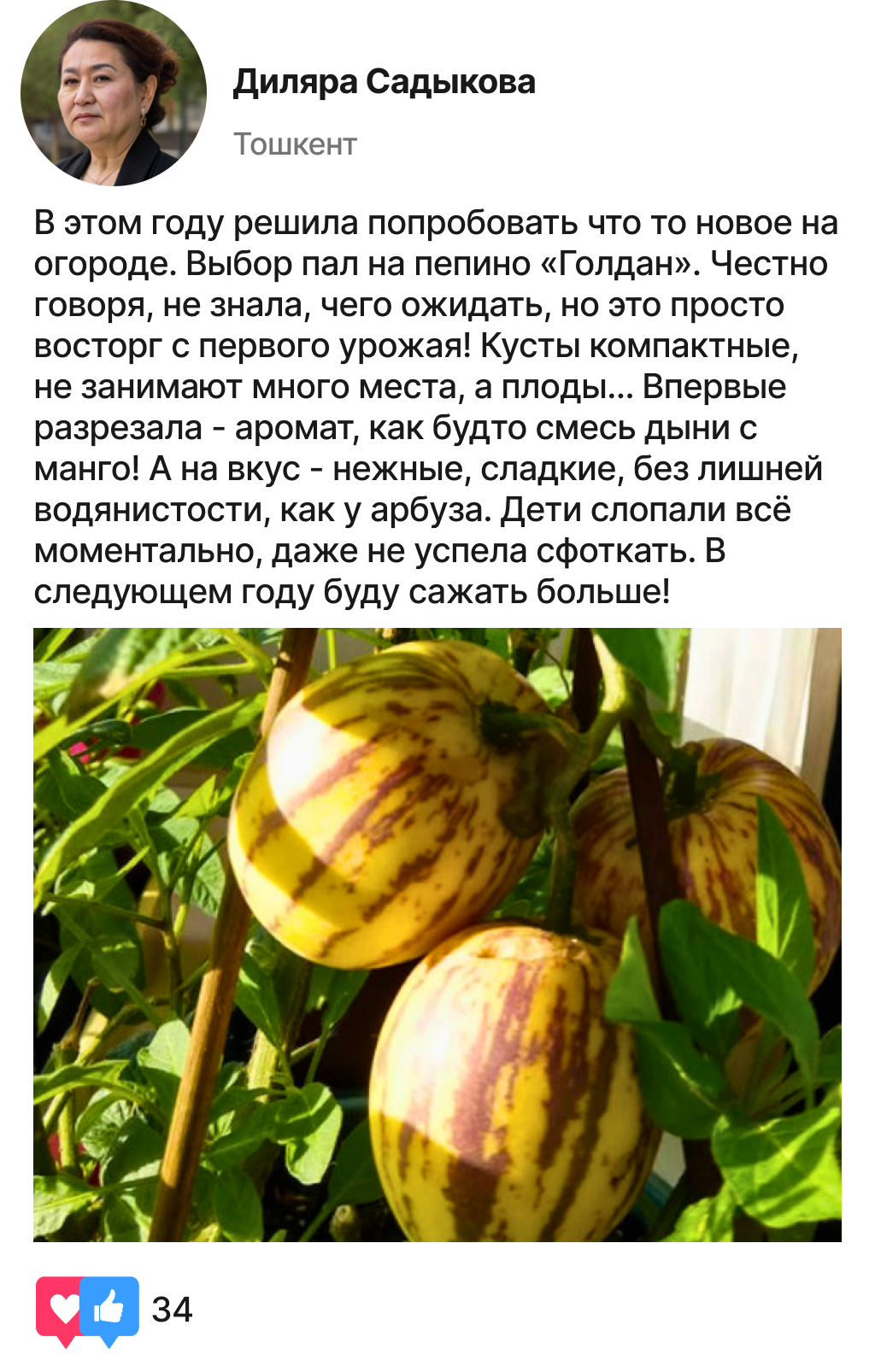 Заголовок