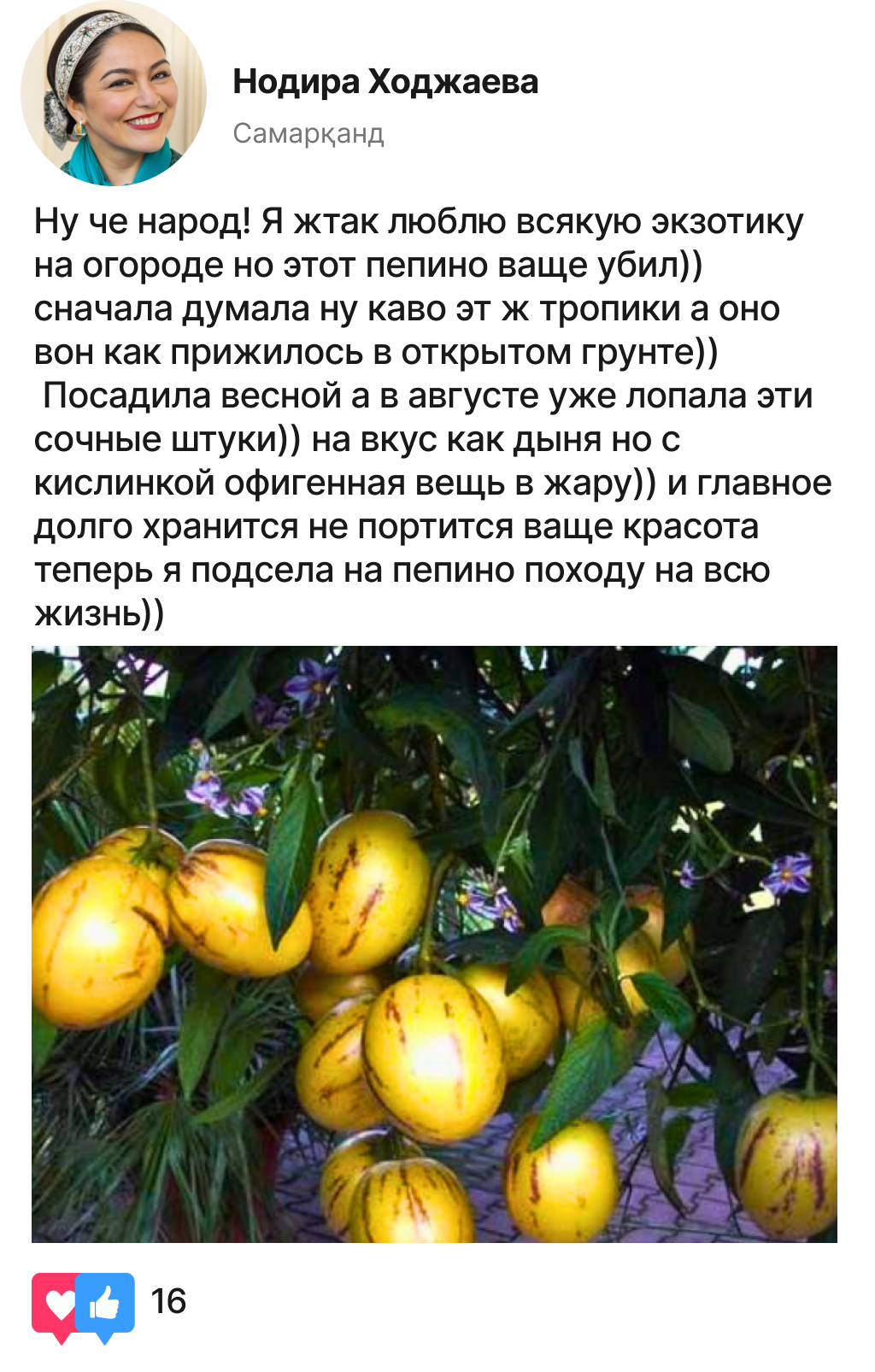 Заголовок