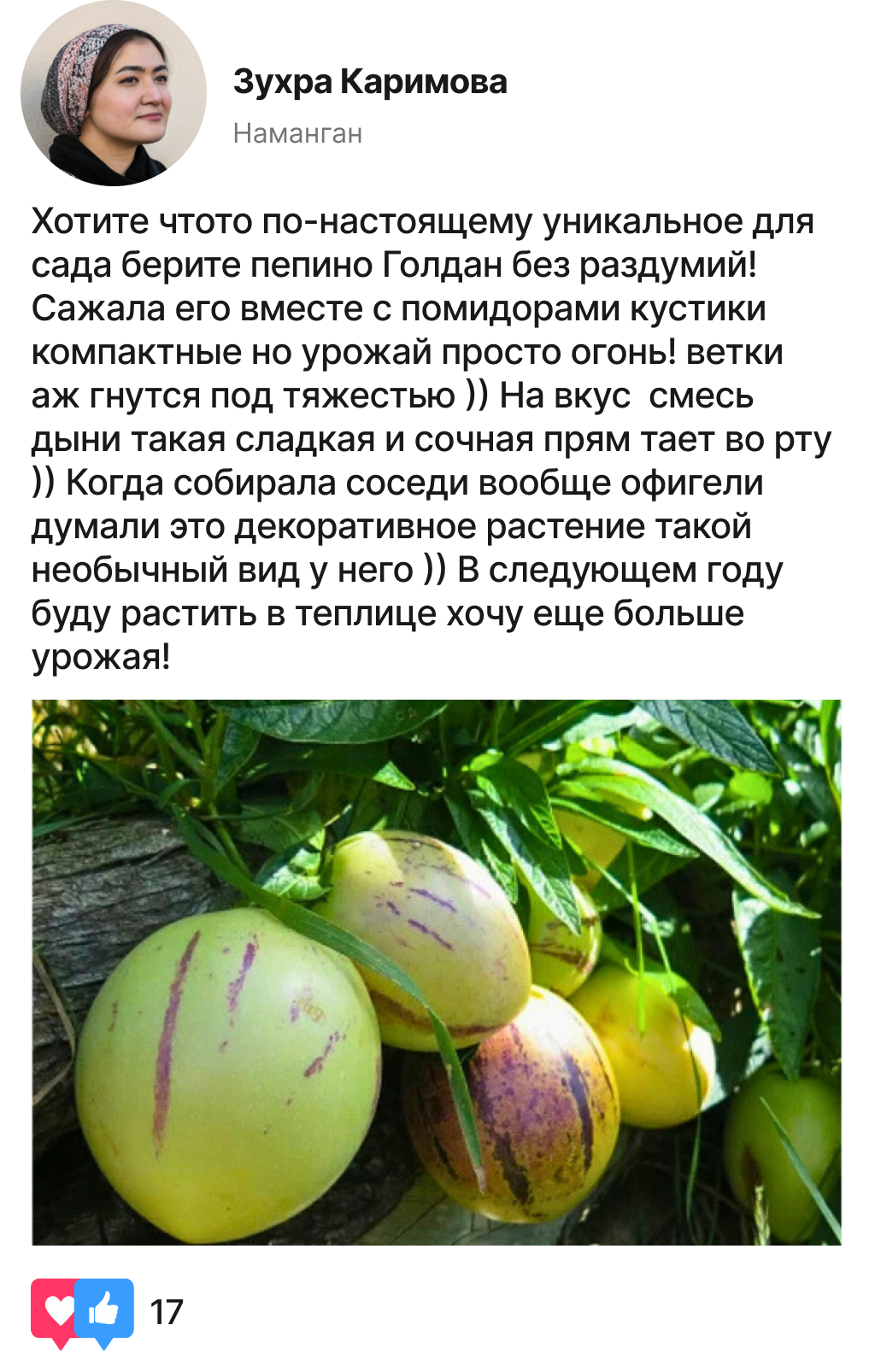 Заголовок
