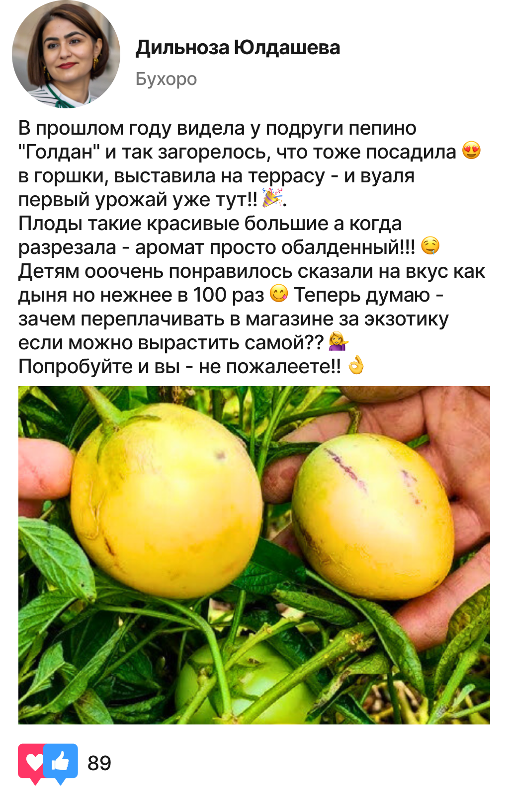 Заголовок