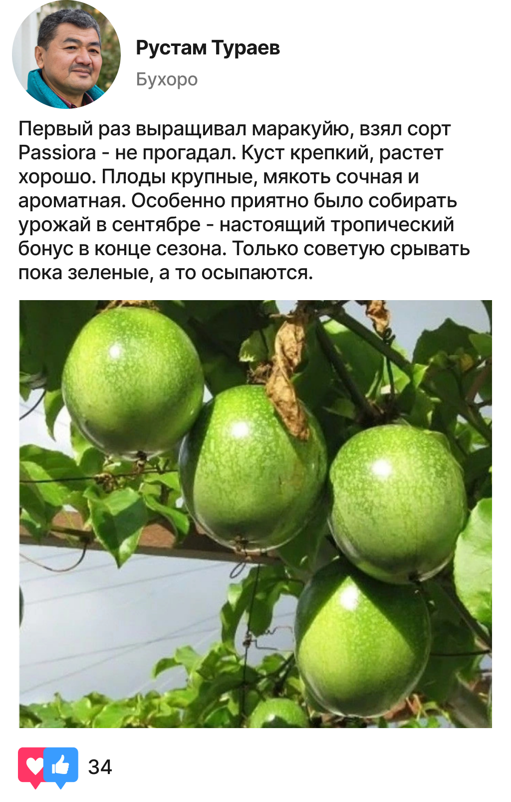 Image title