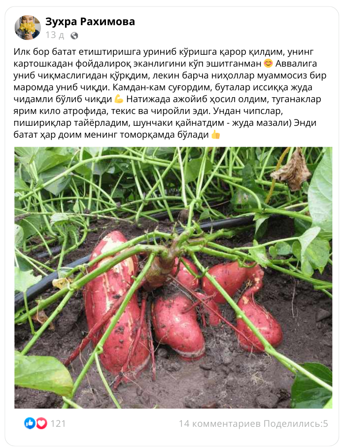 Заголовок