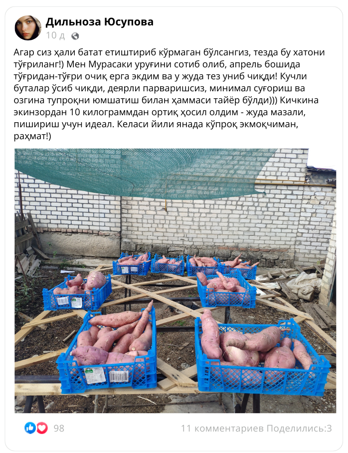 Заголовок