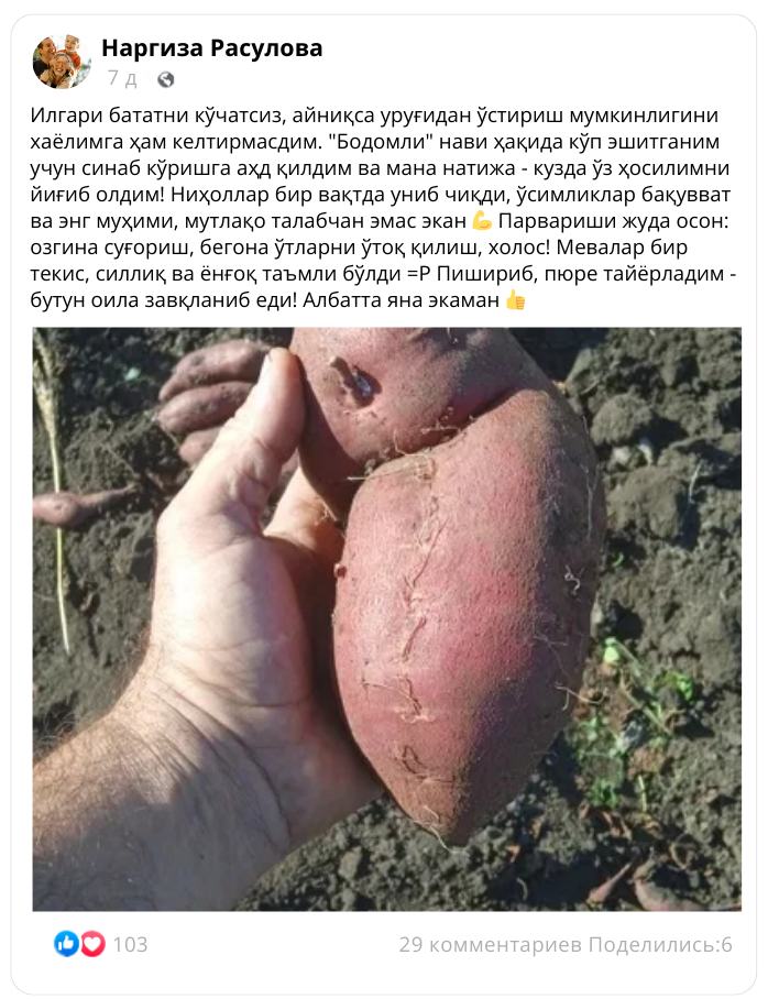 Заголовок