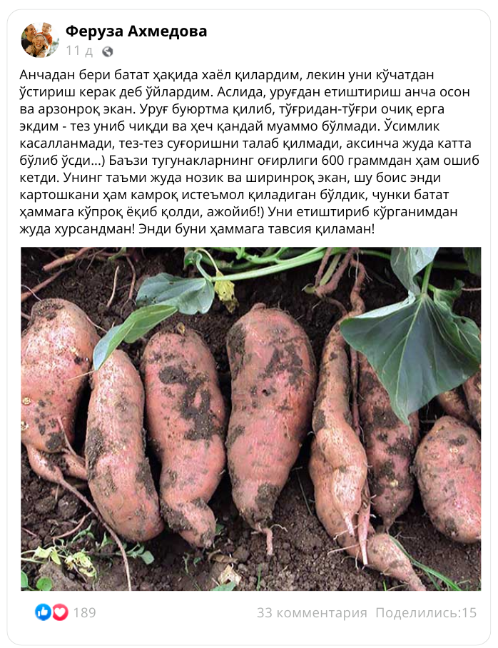 Заголовок