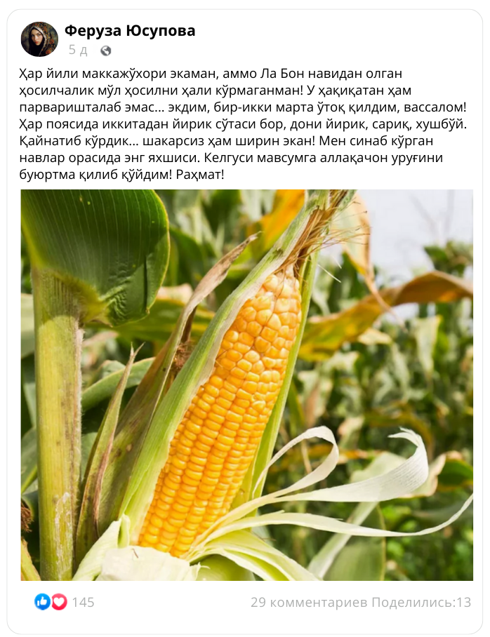 Заголовок
