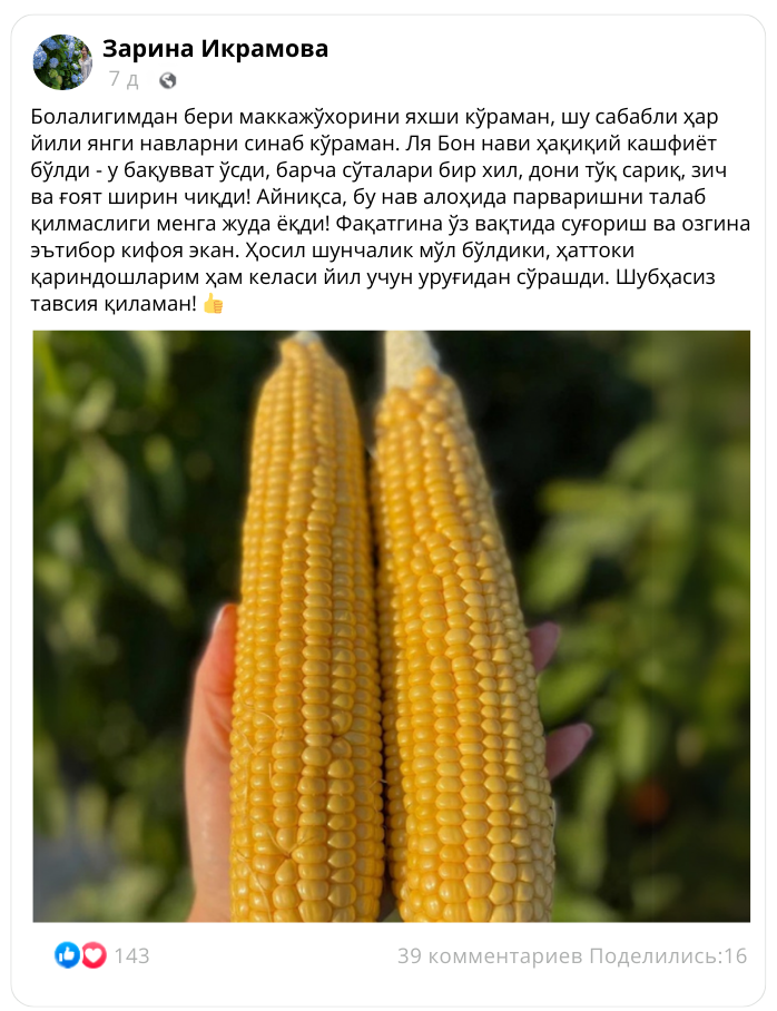 Заголовок