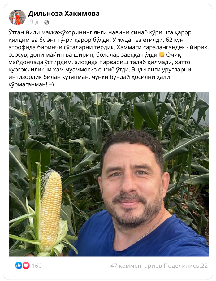 Заголовок