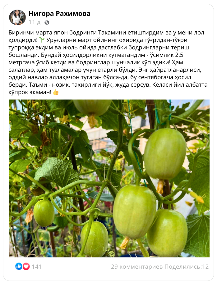 Заголовок
