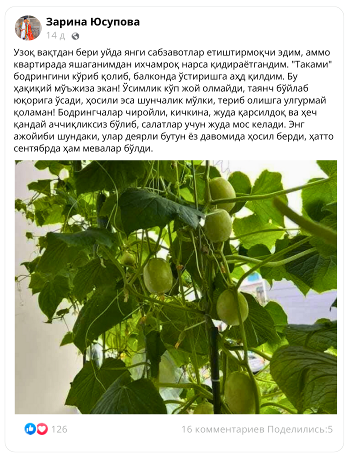 Заголовок
