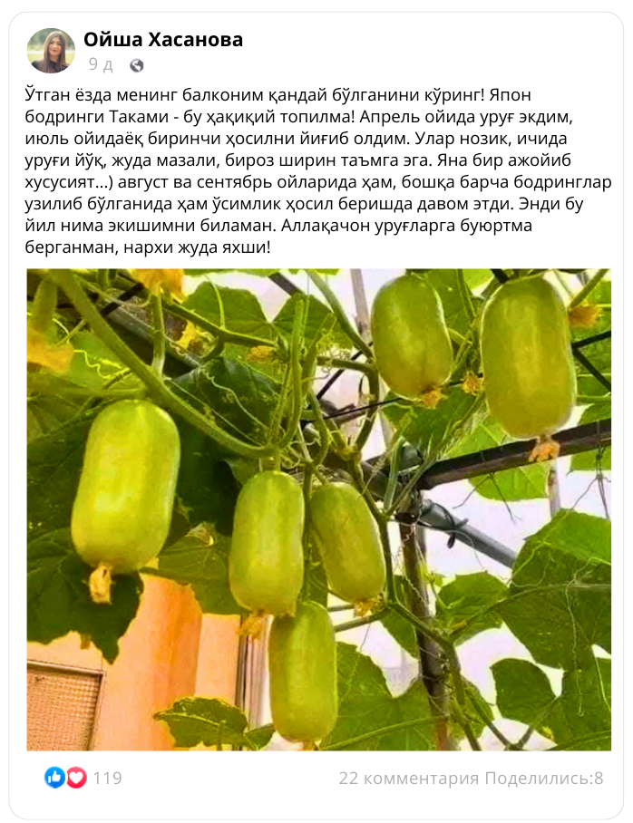 Заголовок