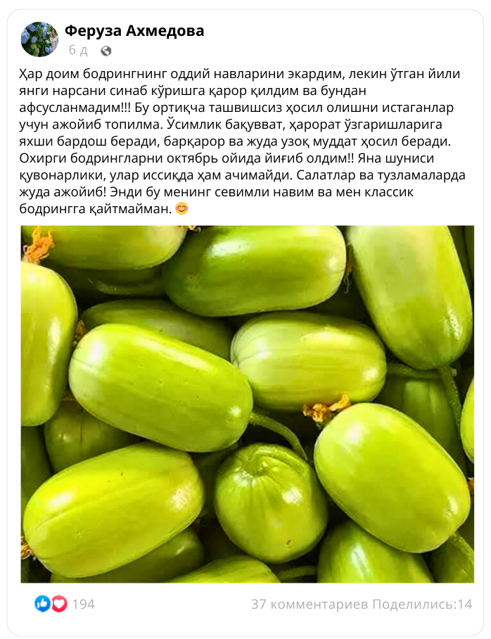 Заголовок