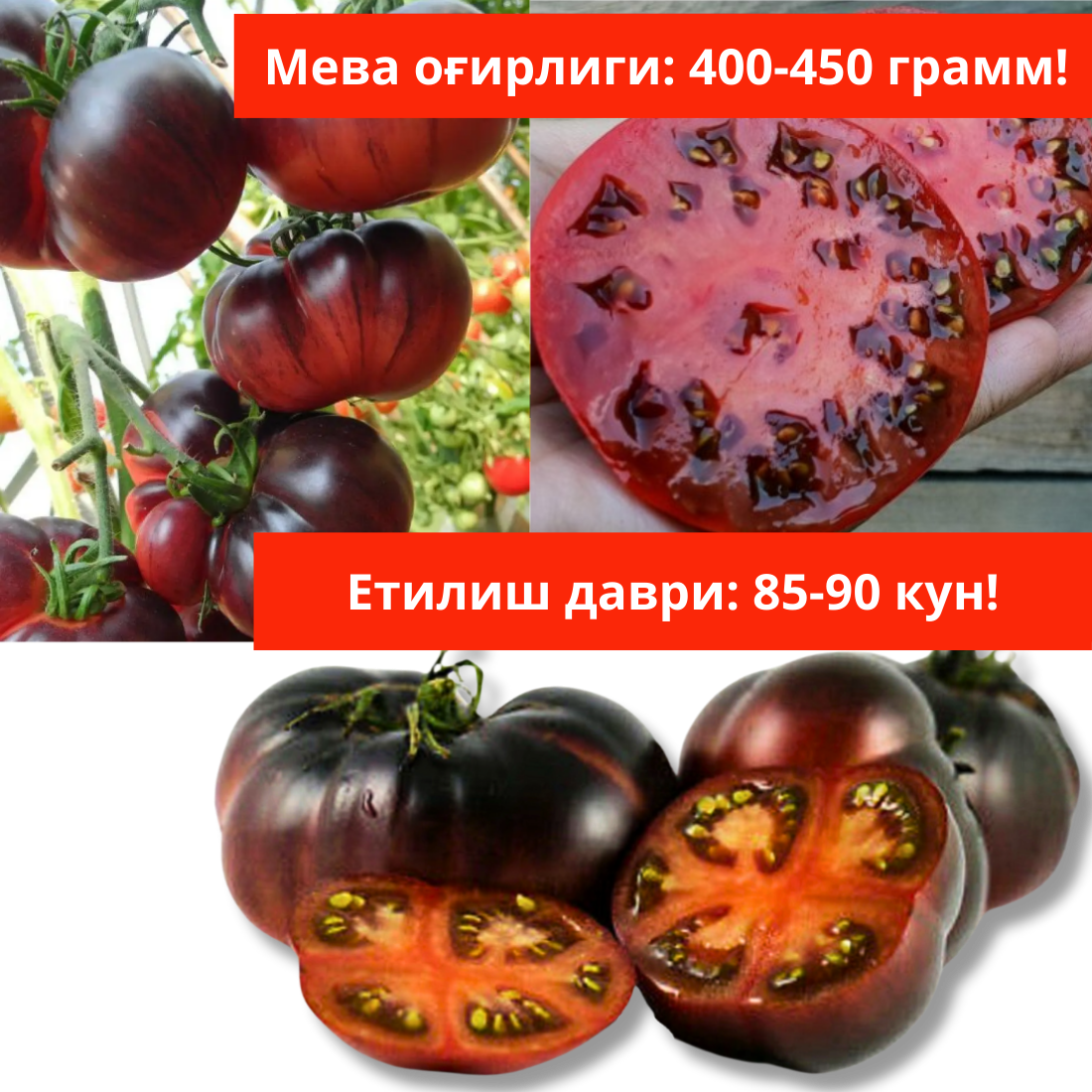 Заголовок