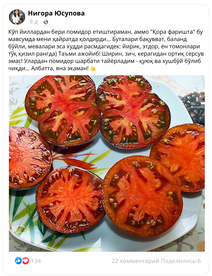 Заголовок