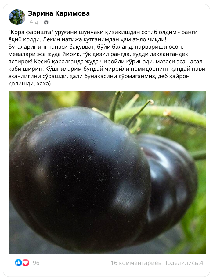 Заголовок