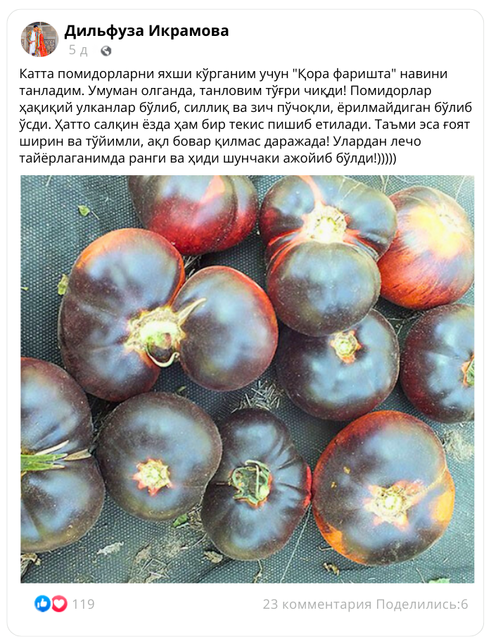 Заголовок