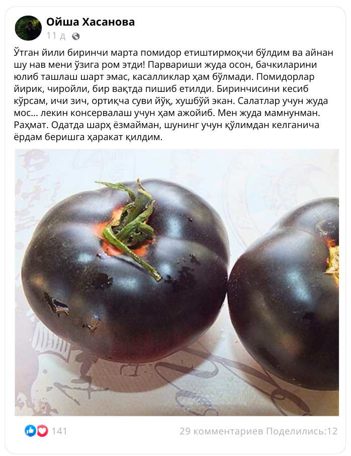 Заголовок