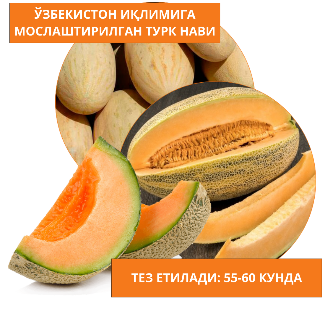 Заголовок