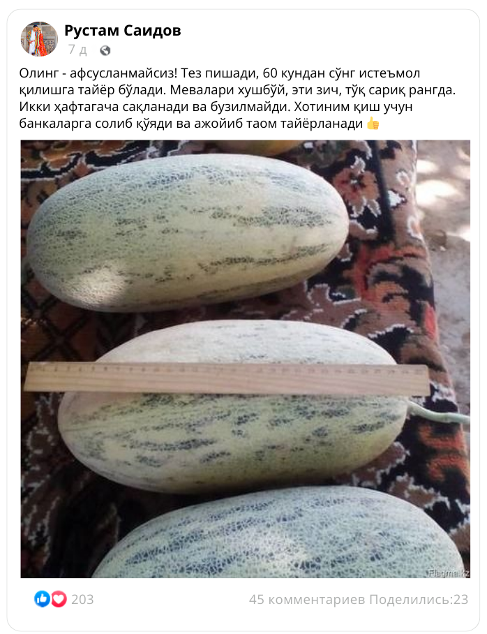 Заголовок
