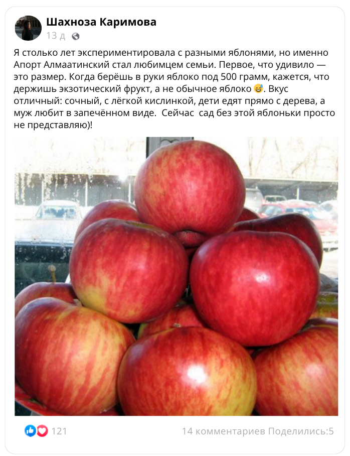 Заголовок