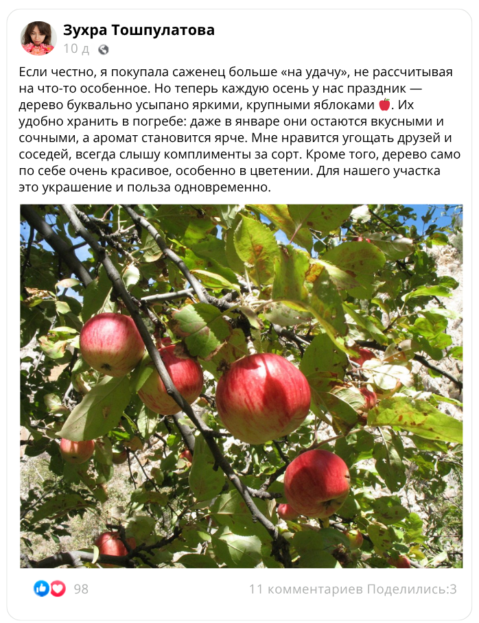 Заголовок