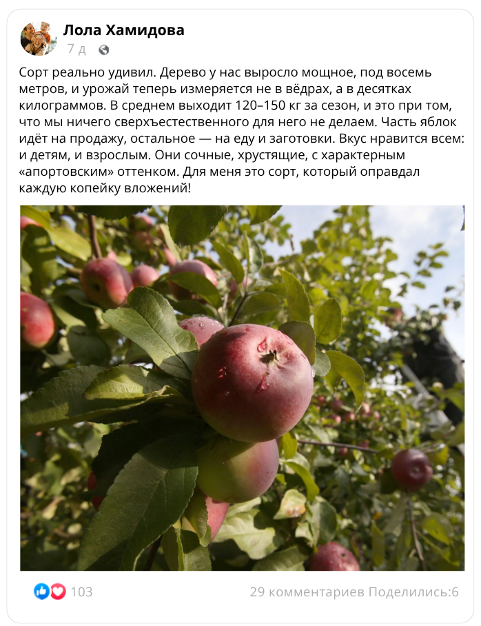 Заголовок