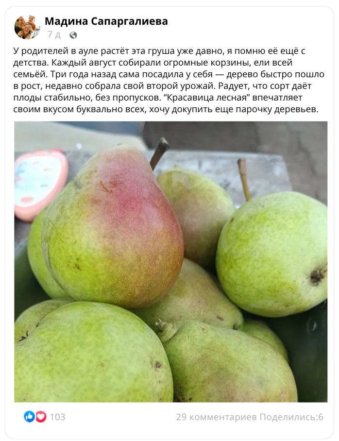 Image title