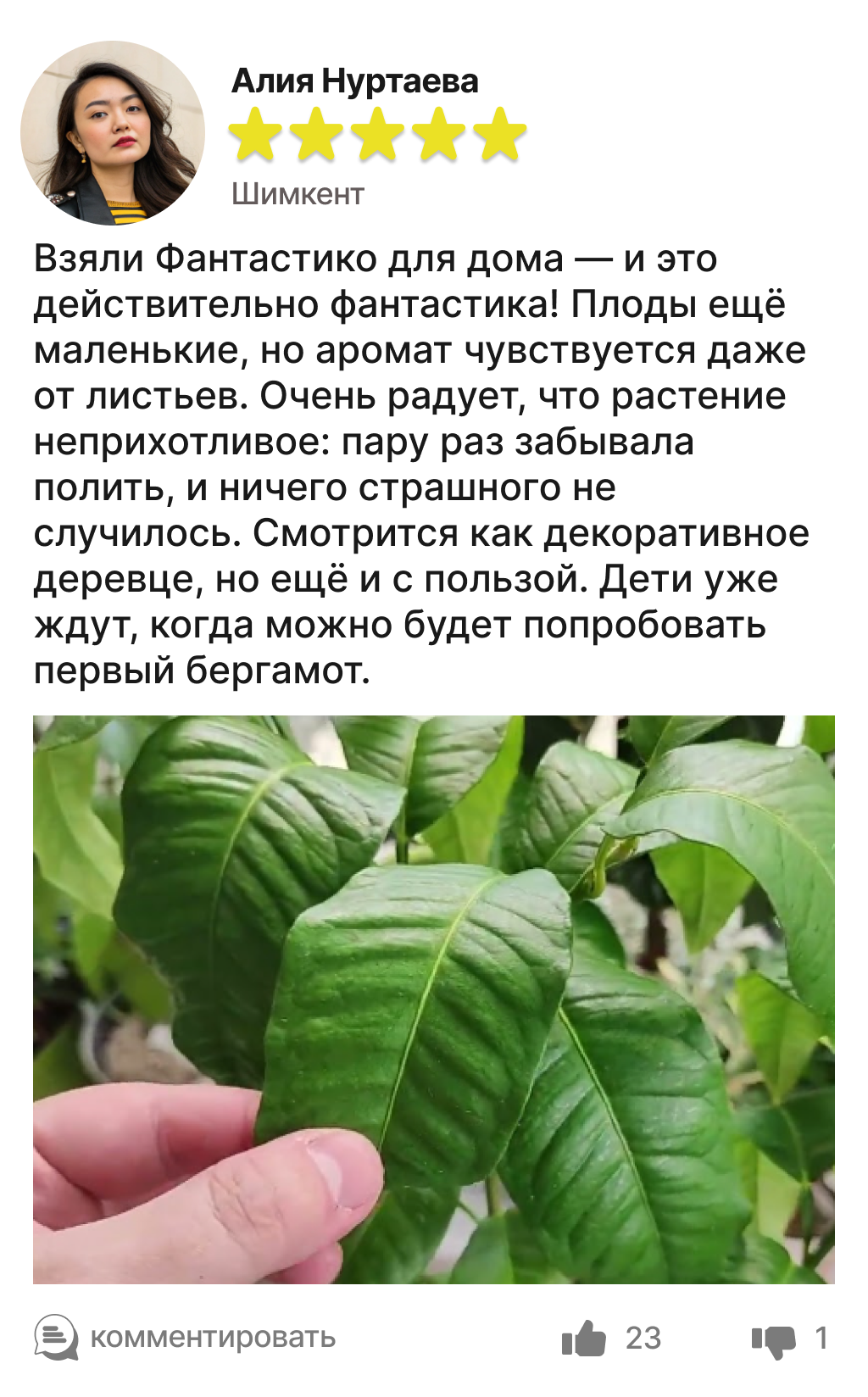 Image title