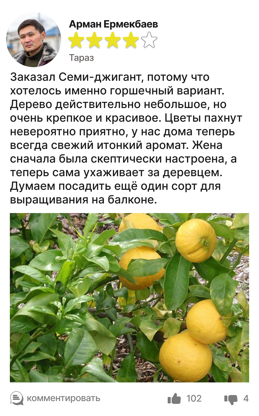 Image title