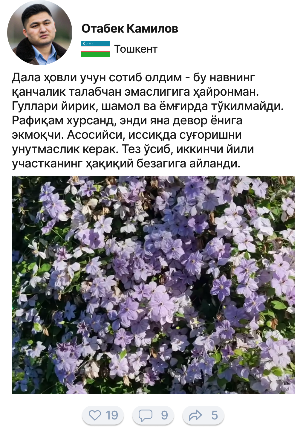 Заголовок
