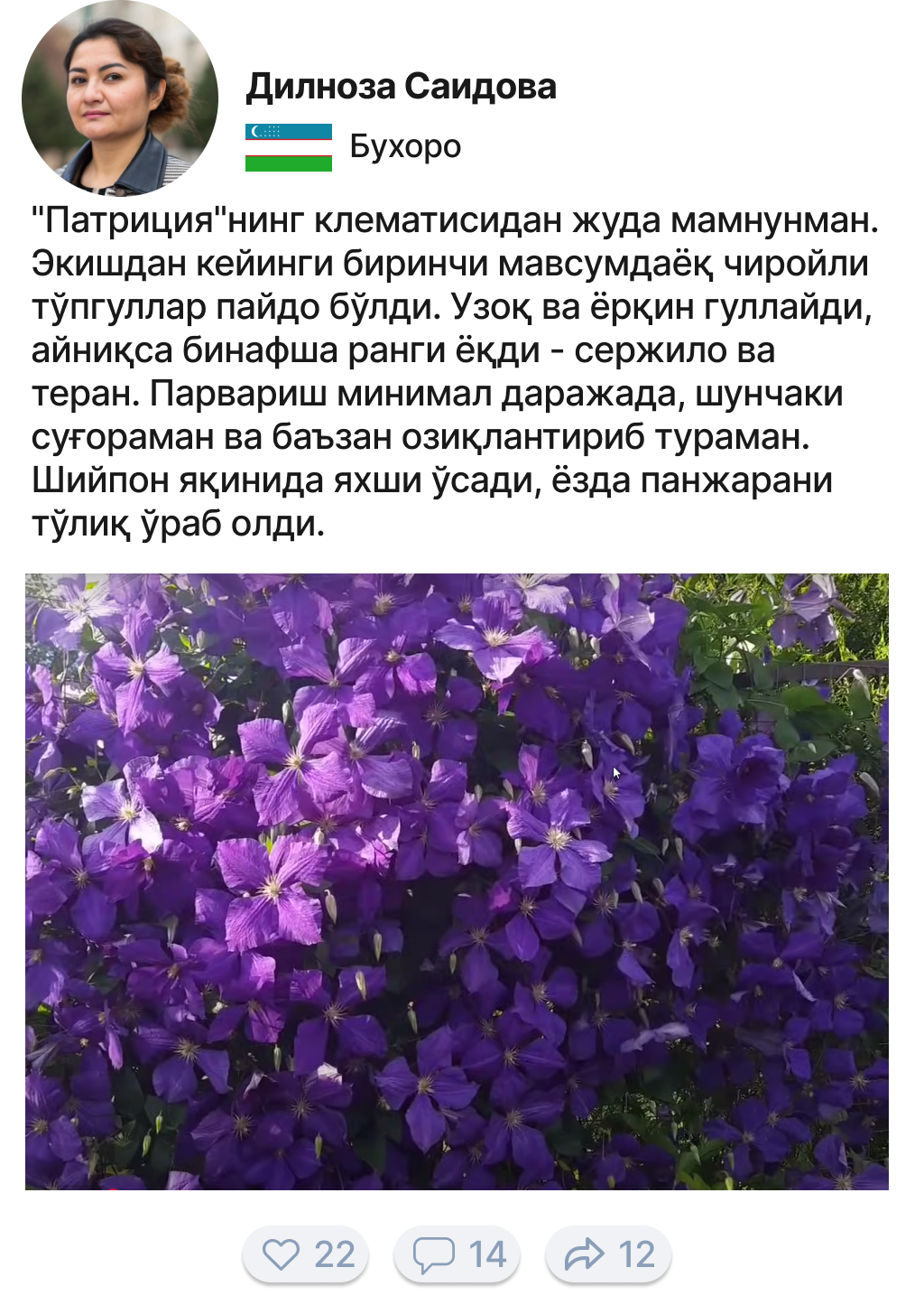 Заголовок
