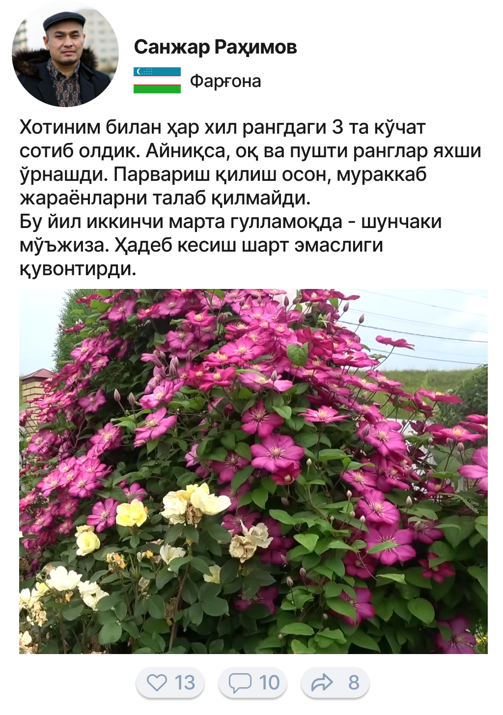 Заголовок