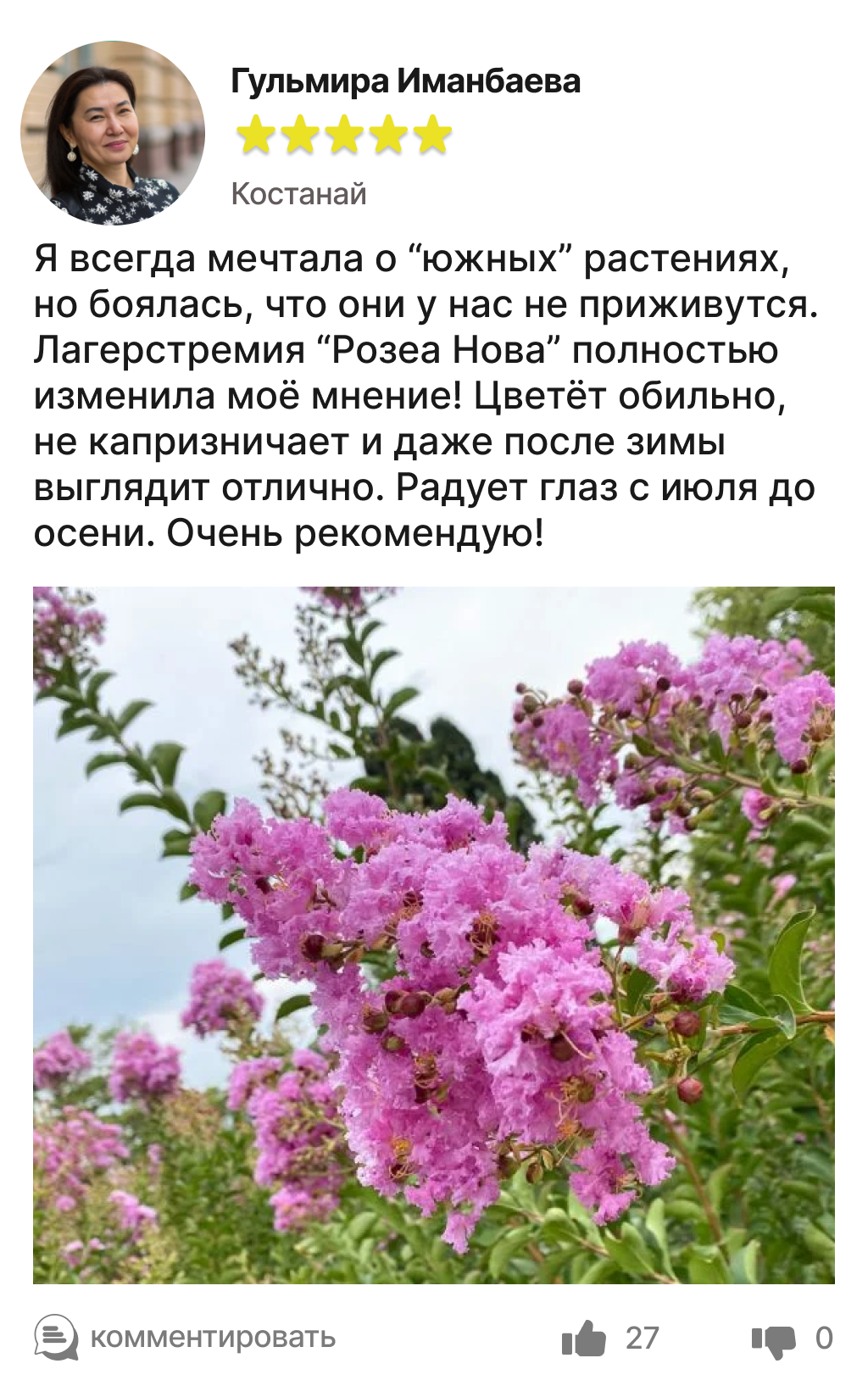Image title