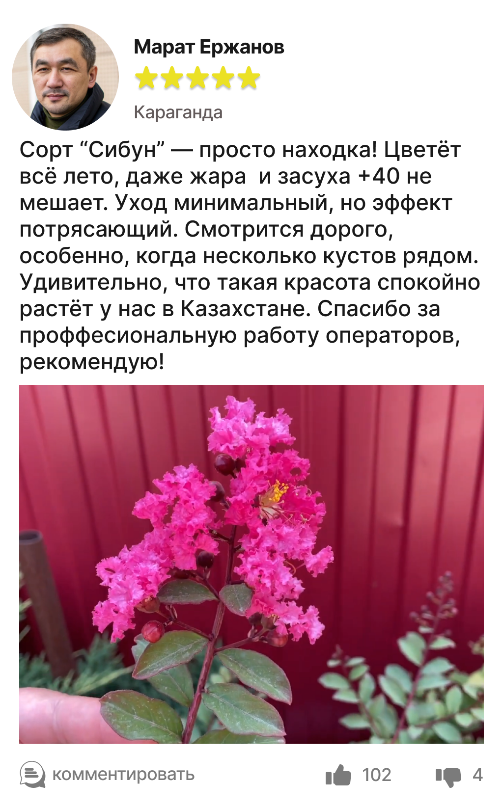 Image title