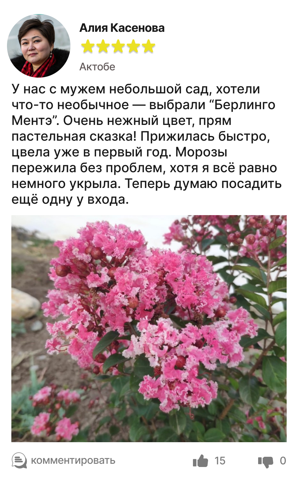 Image title